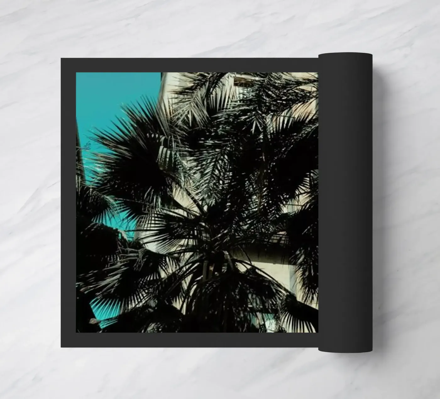 Palms XII zerbino da Sebastian Hilgetag