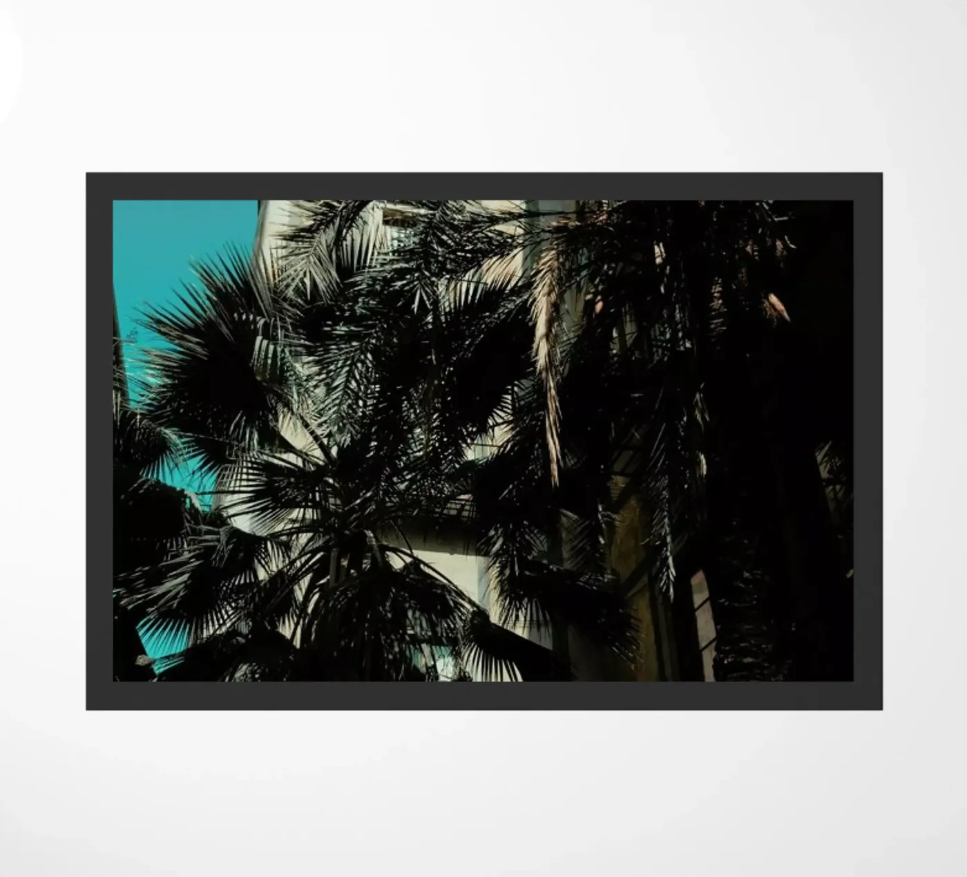 Palms XII zerbino da Sebastian Hilgetag