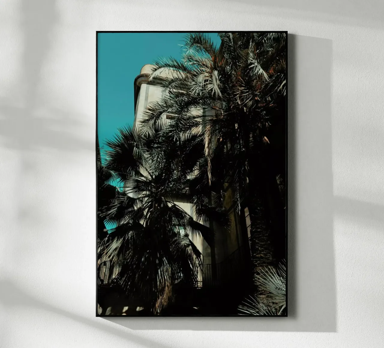 Palms XII plexiglass da Sebastian Hilgetag