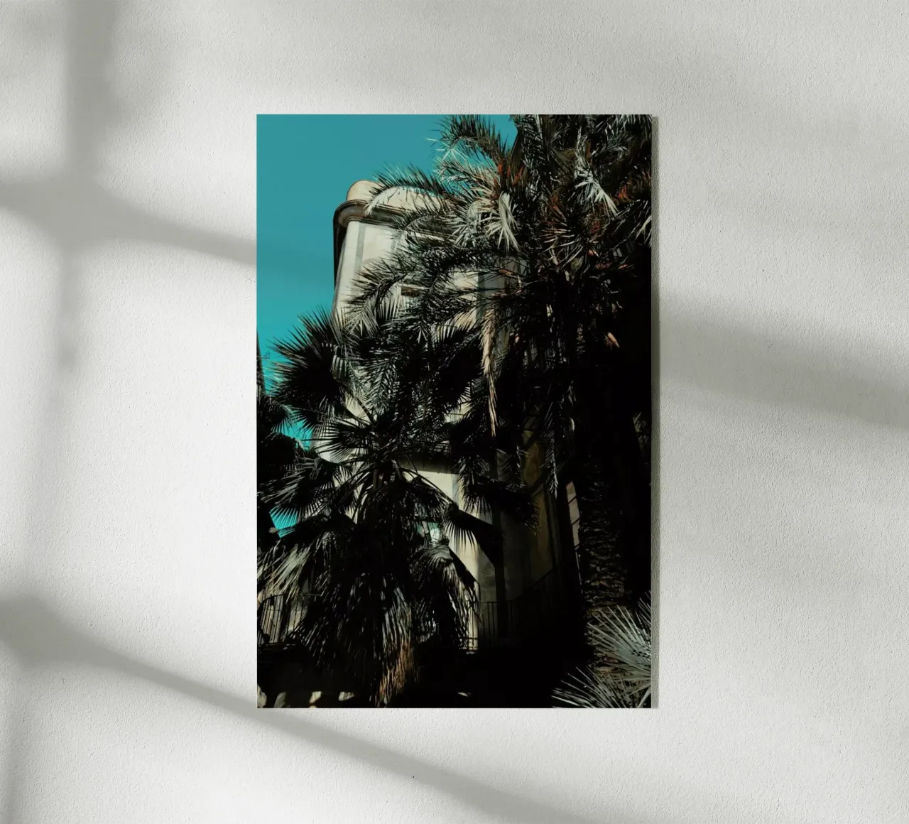 Palms XII plexiglass da Sebastian Hilgetag