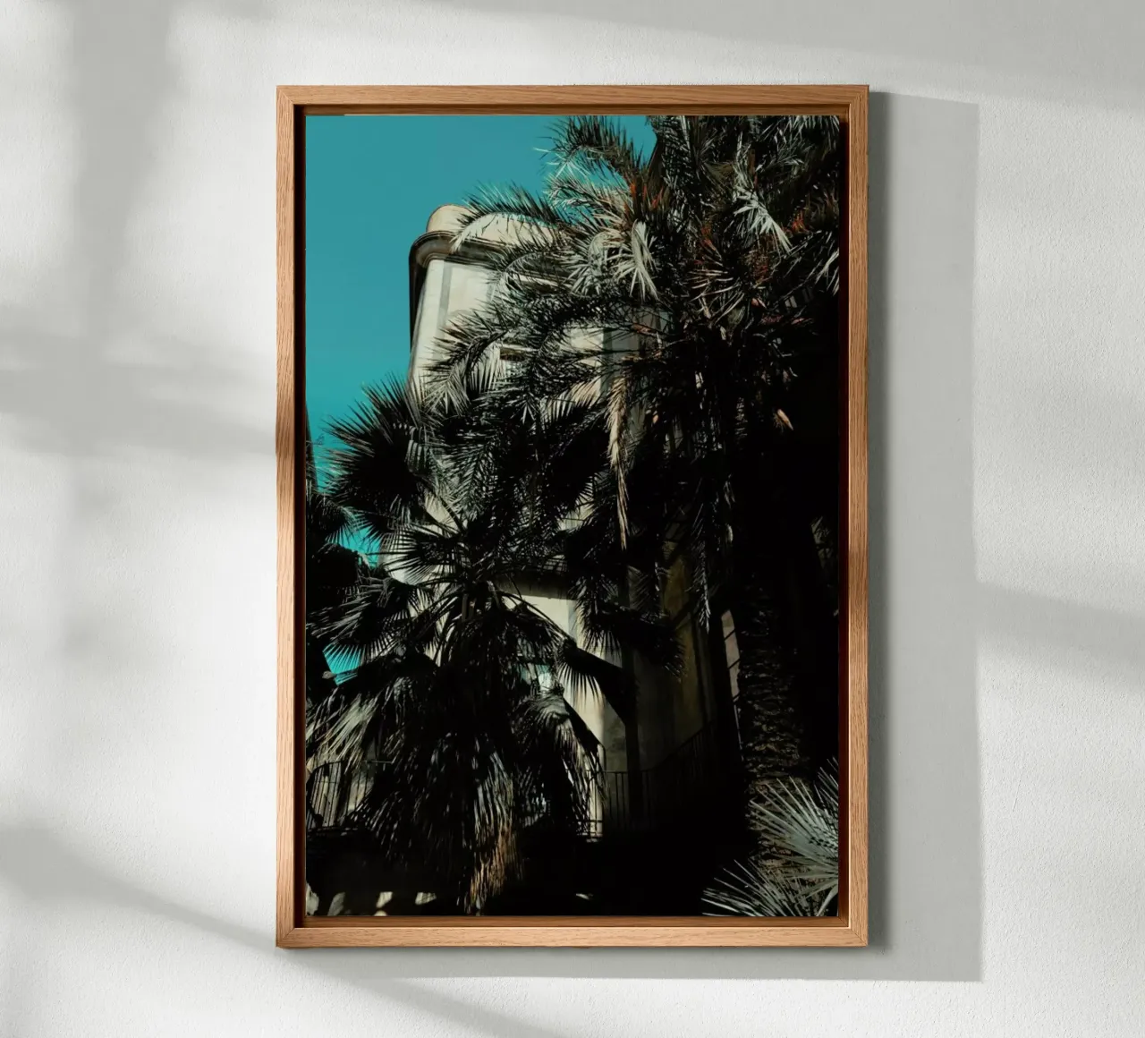 Palms XII alluminio dibond da Sebastian Hilgetag