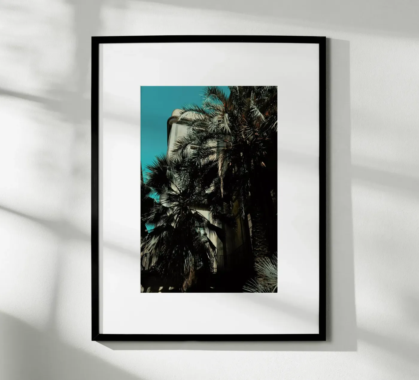 Palms XII poster da Sebastian Hilgetag