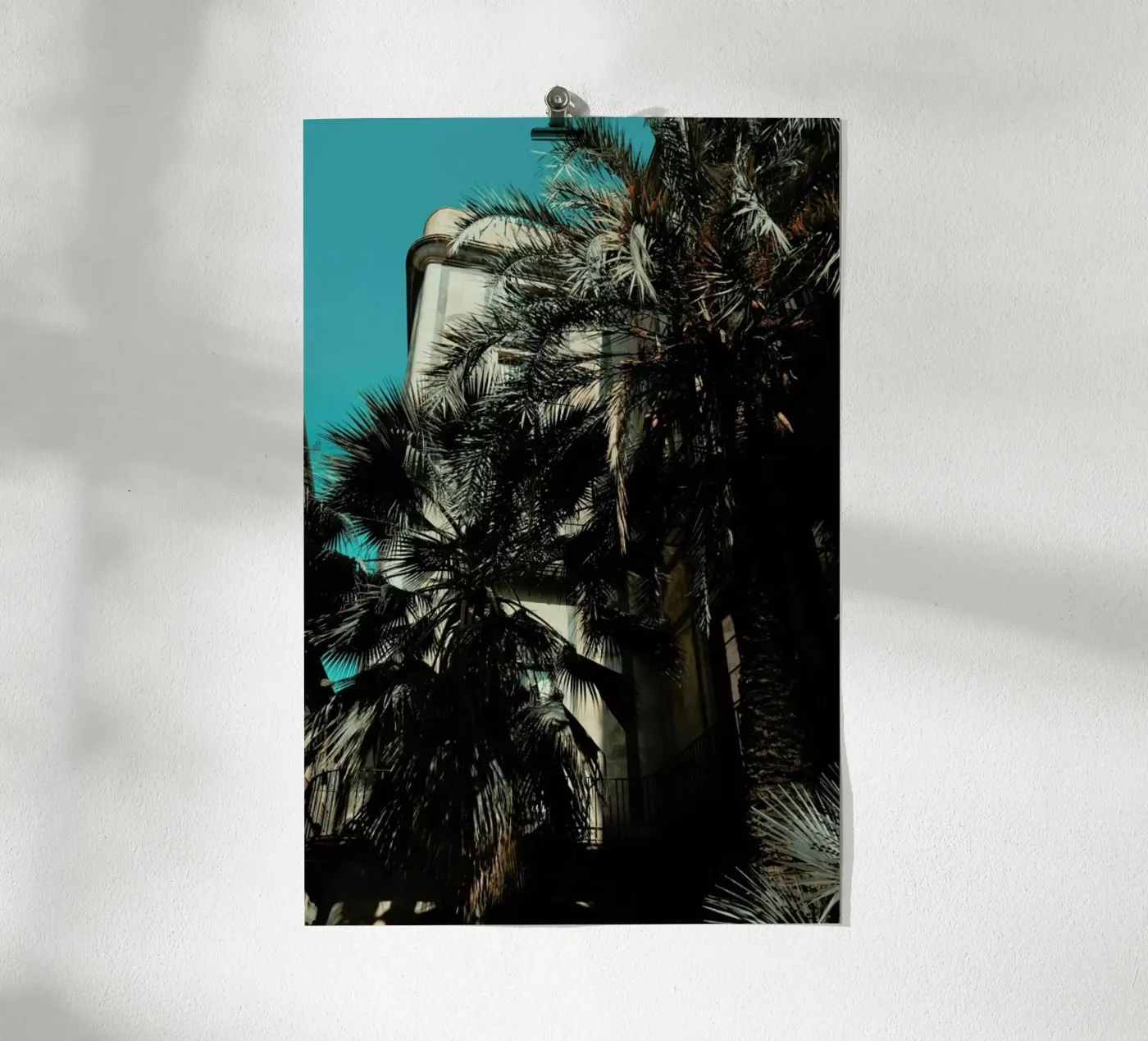 Palms XII poster da Sebastian Hilgetag