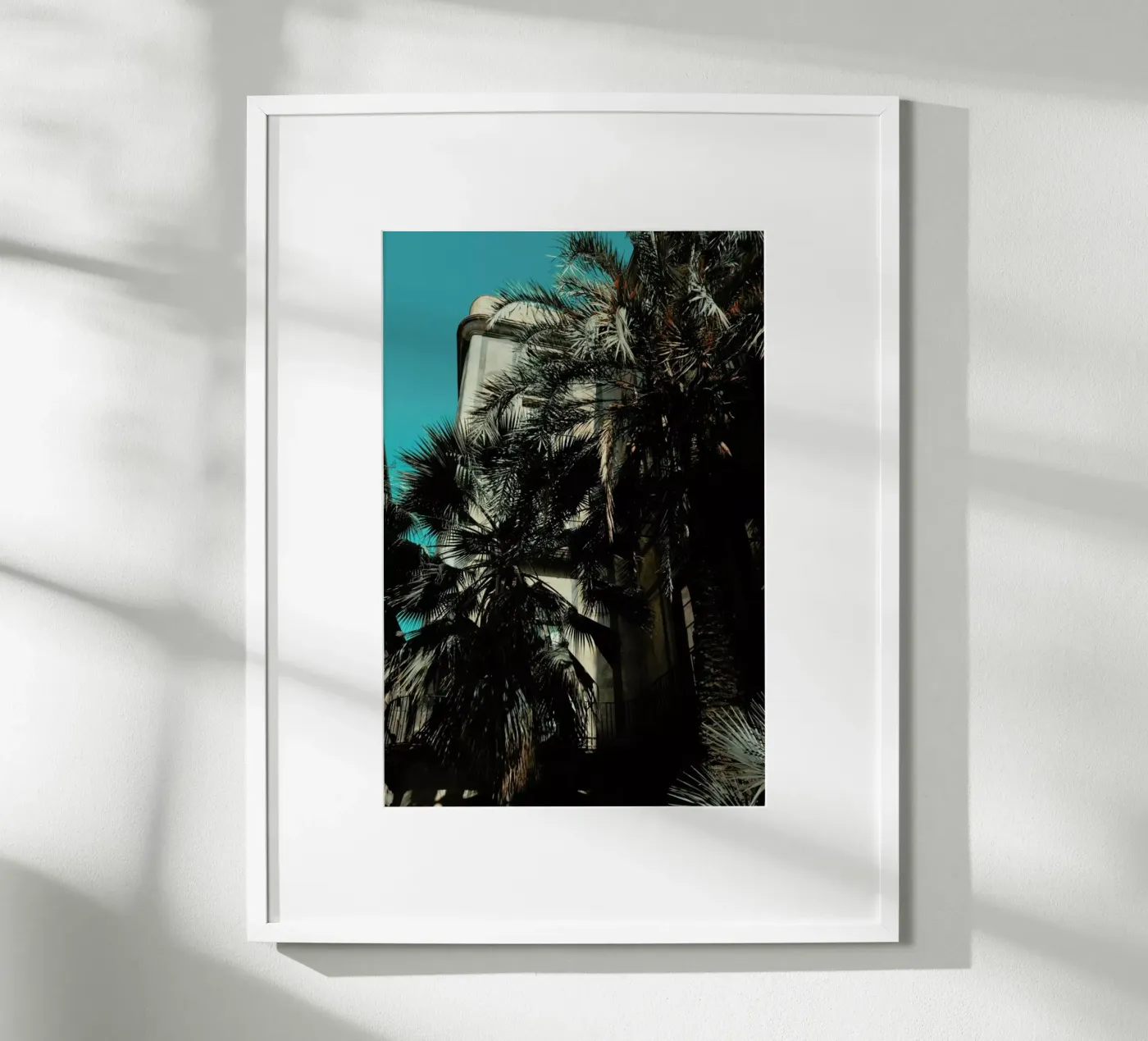 Palms XII poster da Sebastian Hilgetag