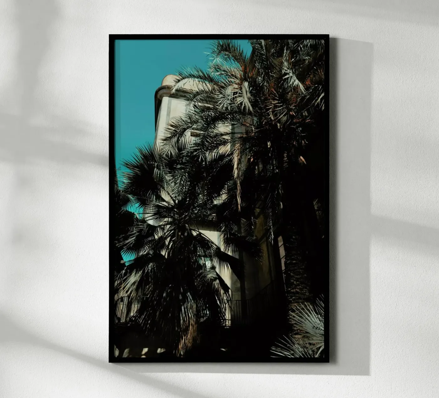 Palms XII poster da Sebastian Hilgetag