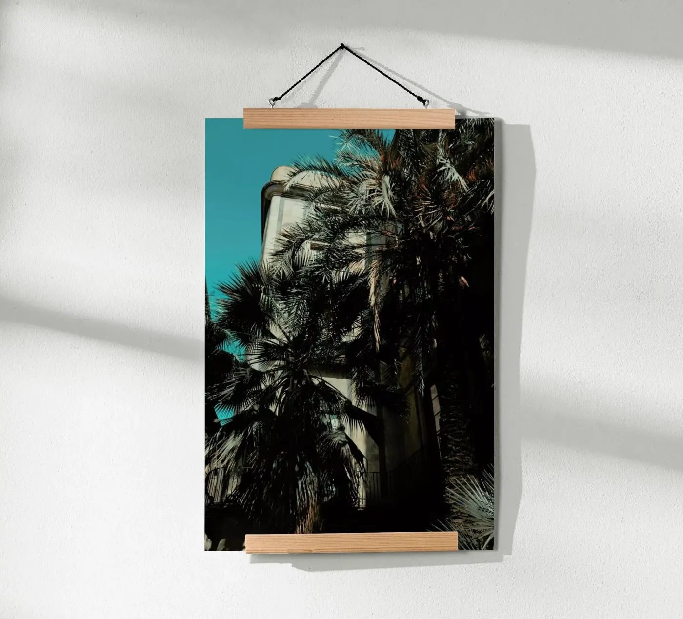 Palms XII poster da Sebastian Hilgetag