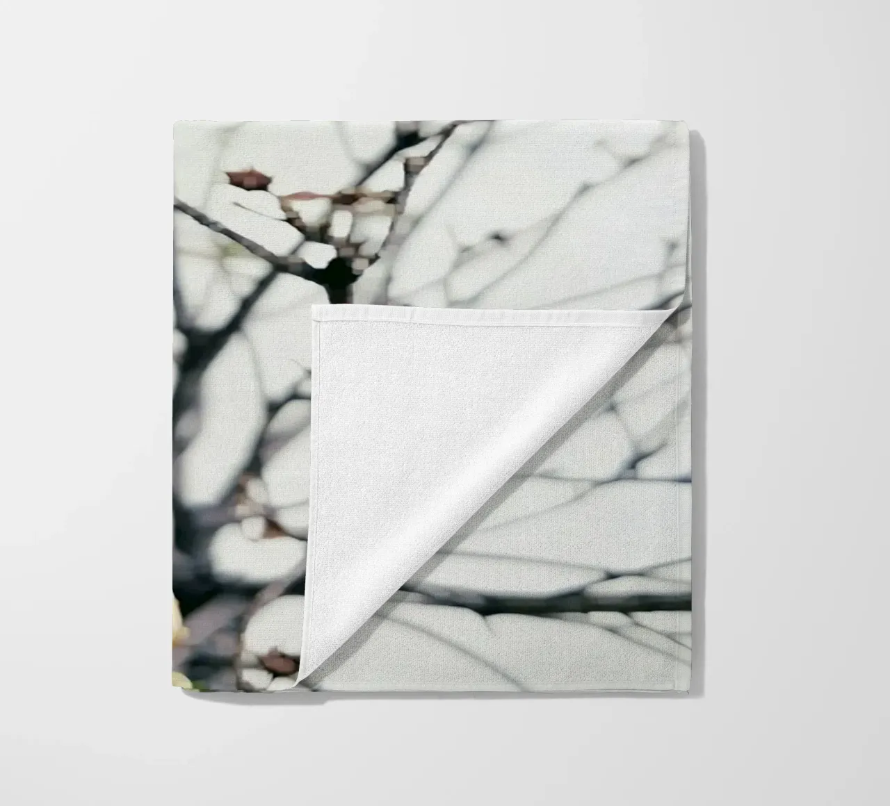 Kyoto telo mare da Angelo Cerantola