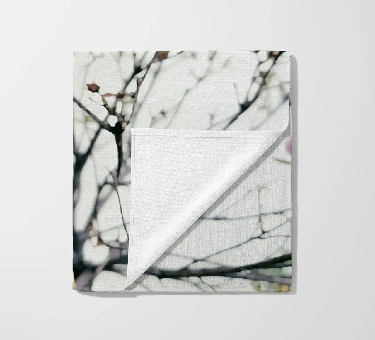 Kyoto telo mare da Angelo Cerantola