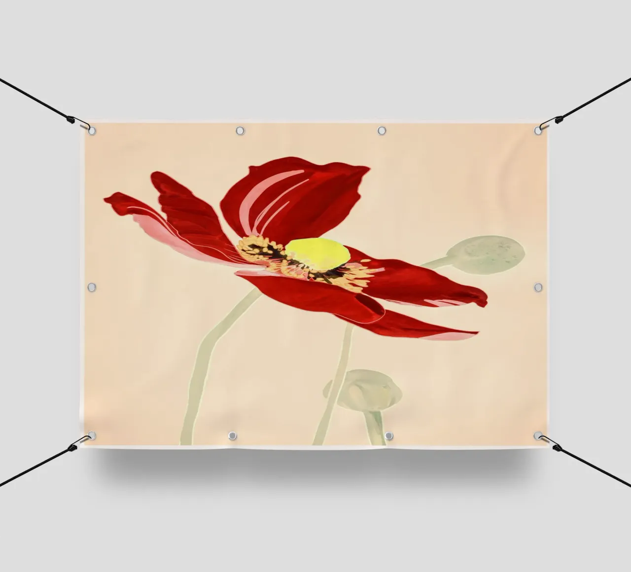 Fiore da giardino 2 telo in pvc da LeaDArt