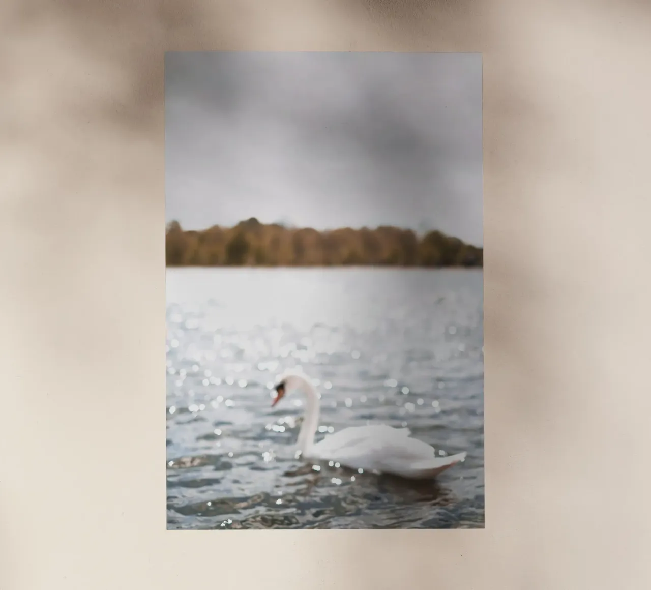 Londra, Inghilterra I Cigno sul lago scintillante di Hyde Park pellicola backlit da Julie Travel Photography