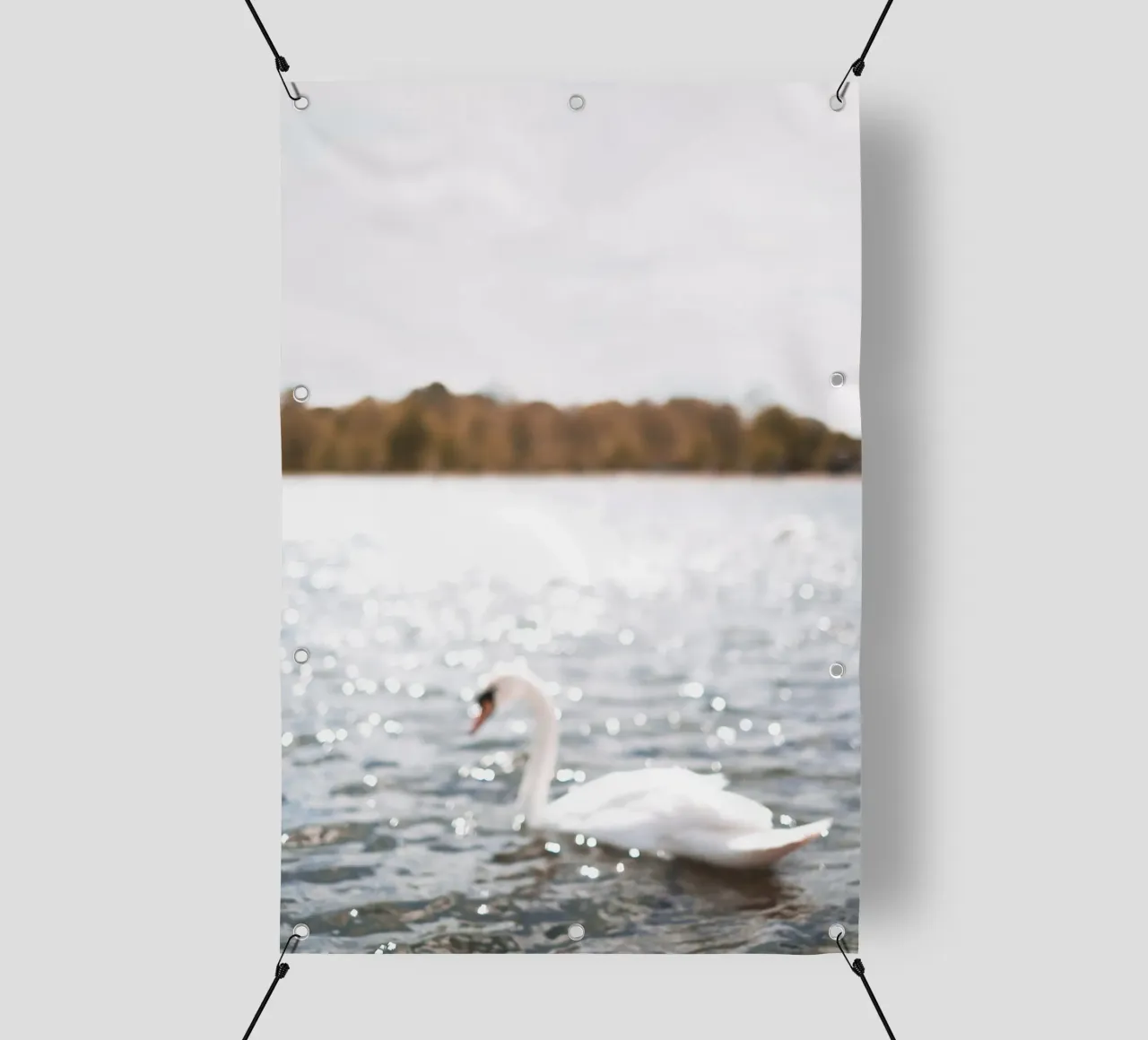 Londra, Inghilterra I Cigno sul lago scintillante di Hyde Park telo in pvc da Julie Travel Photography