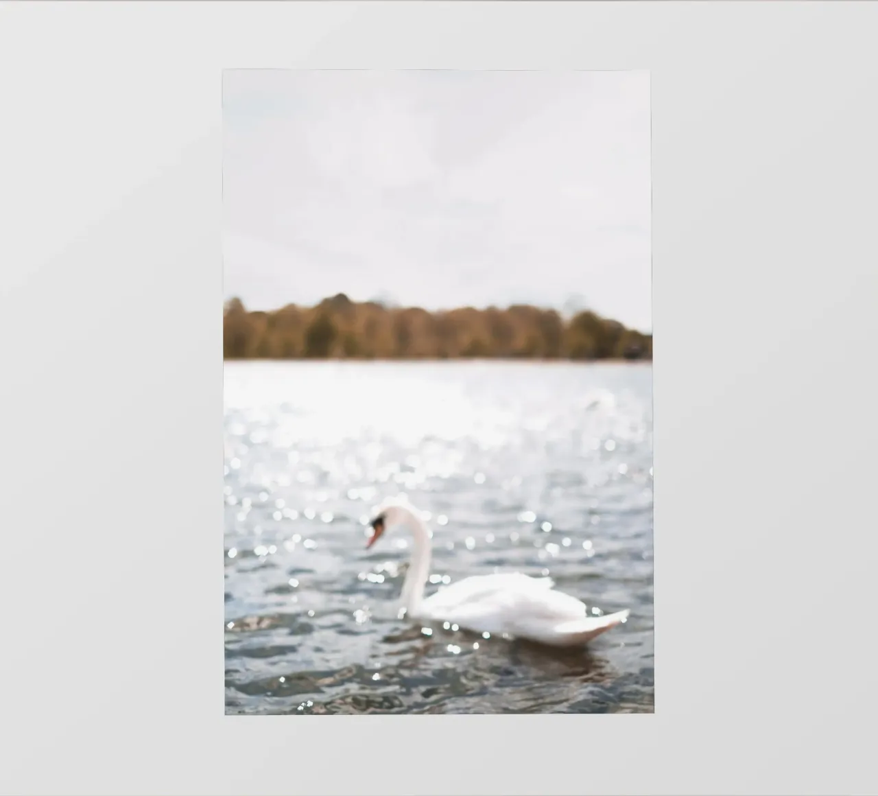 Londra, Inghilterra I Cigno sul lago scintillante di Hyde Park telo in pvc da Julie Travel Photography
