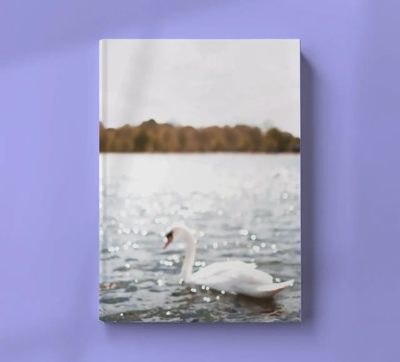 Londra, Inghilterra I Cigno sul lago scintillante di Hyde Park diario da Julie Travel Photography