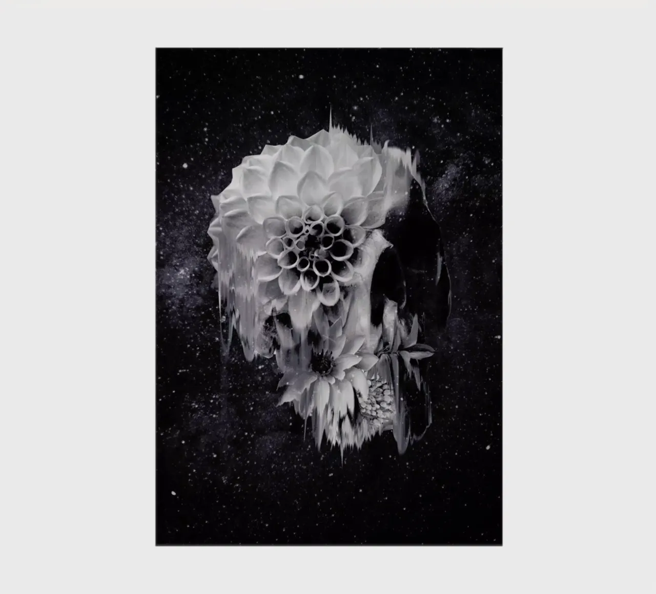 Decay Skull carnet de notes de Ali Gulec