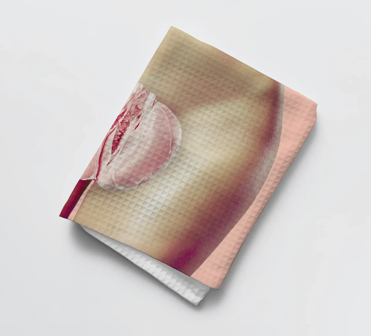 Censorship at Its Best canovaccio da cucina da suckertom