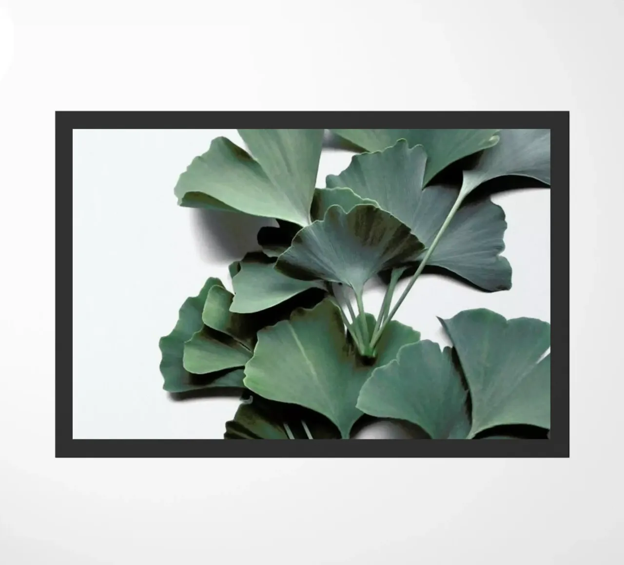 Ginko Biloba doormat by Studio Nahili