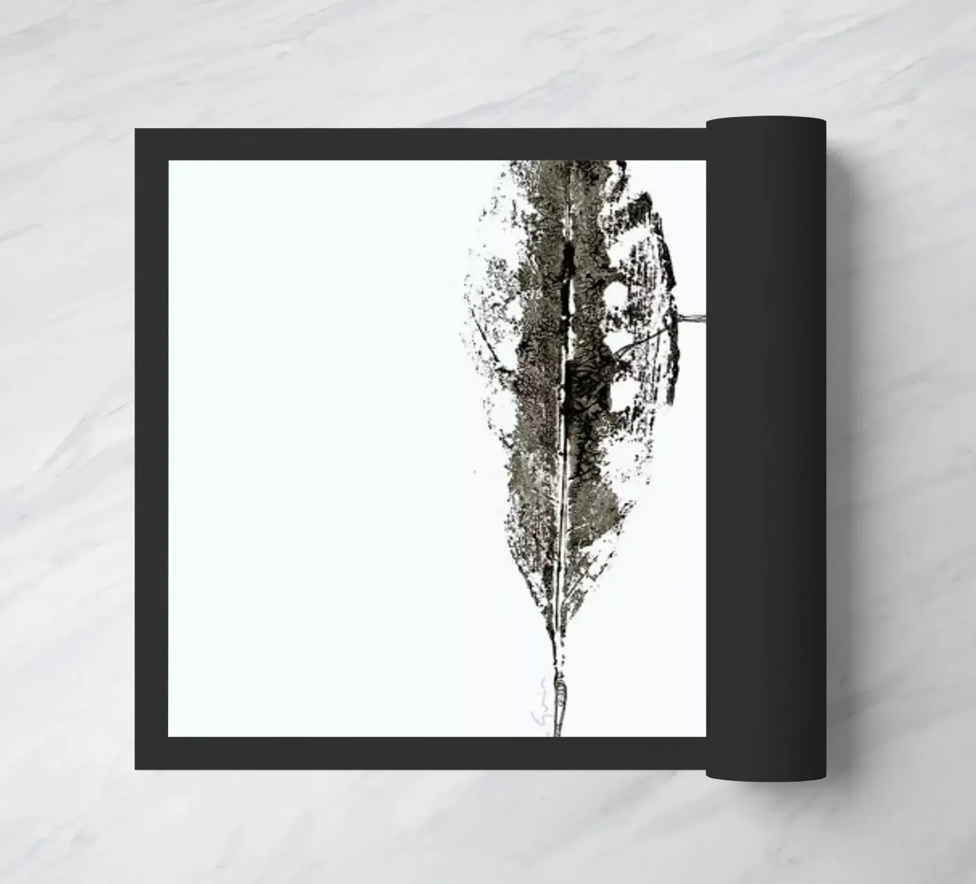 F zerbino da Marina Guiu