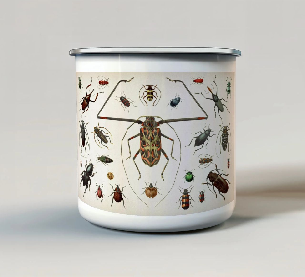 Vintage Brockhaus 1 Käfer 2 tazza in smalto da Vintage Print Collection