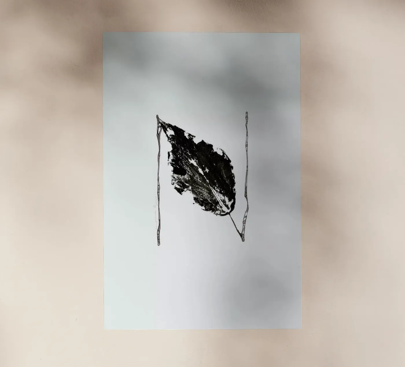 N pellicola backlit da Marina Guiu