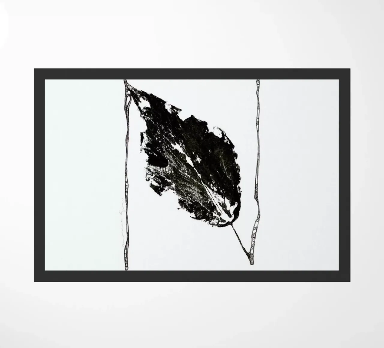 N zerbino da Marina Guiu