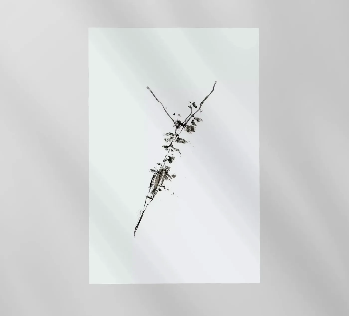 Y backlit folie van Marina Guiu