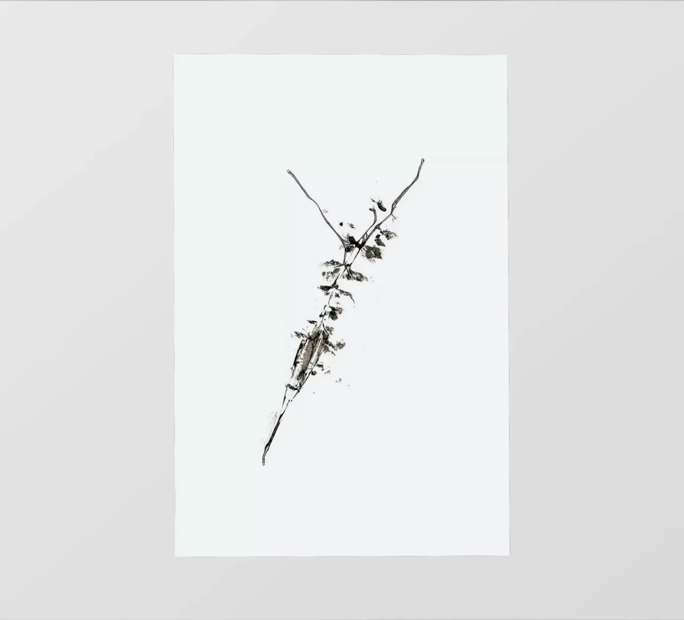 Y backlit folie van Marina Guiu