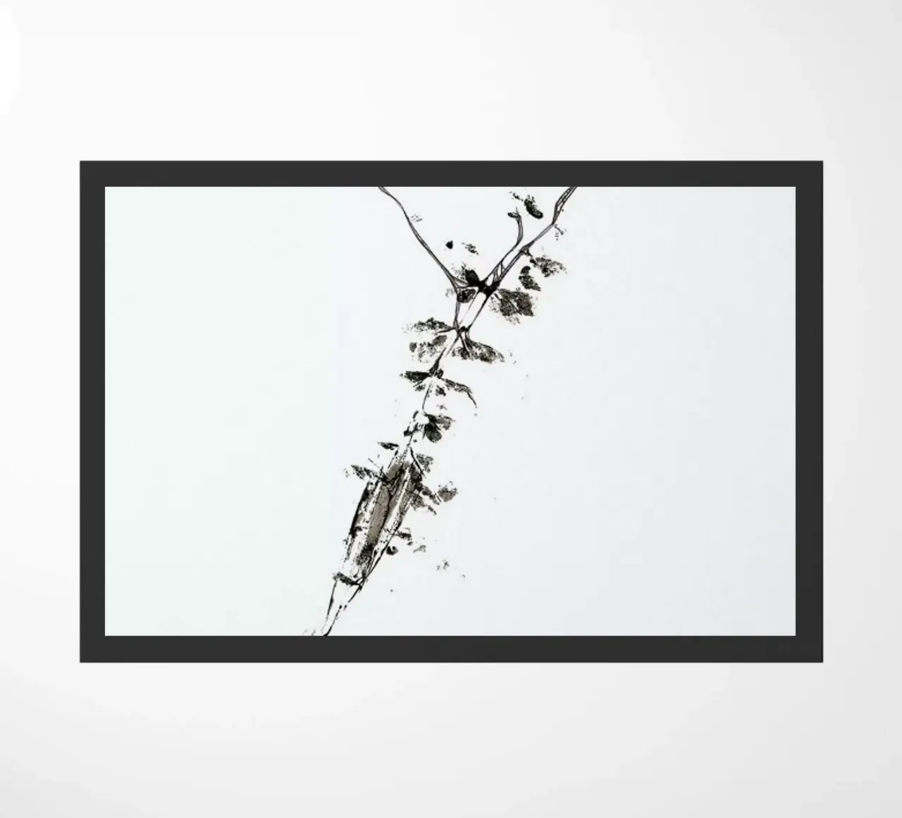 Y zerbino da Marina Guiu