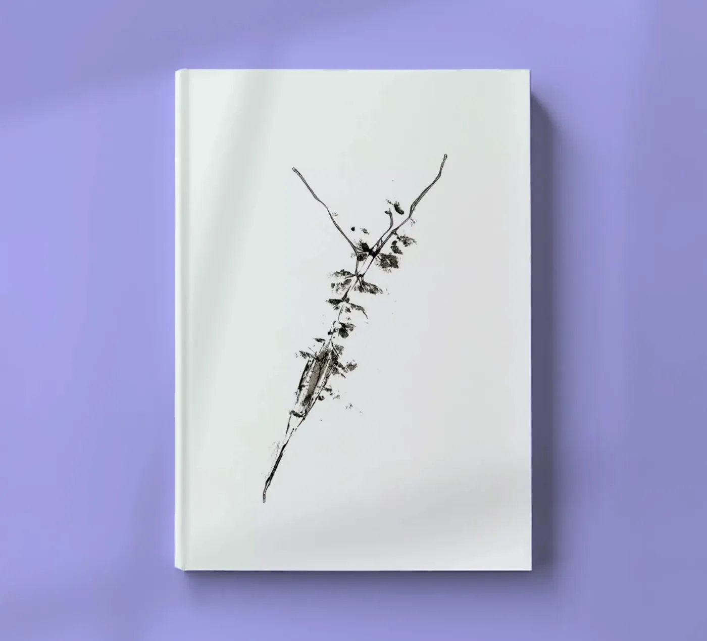 Y notebook by Marina Guiu