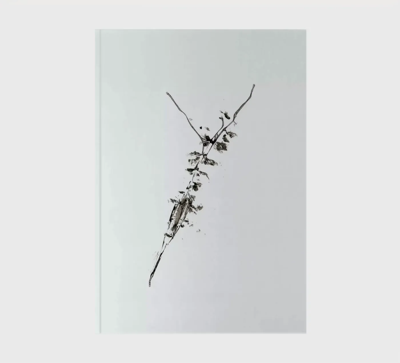 Y notebook by Marina Guiu