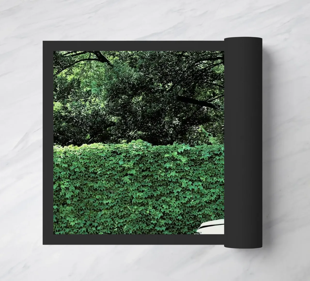 Glam Drop zerbino da Ballack Art House