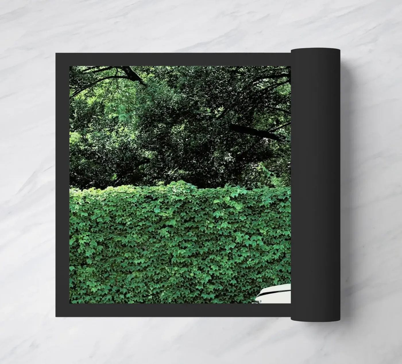 Glam Drop zerbino da Ballack Art House