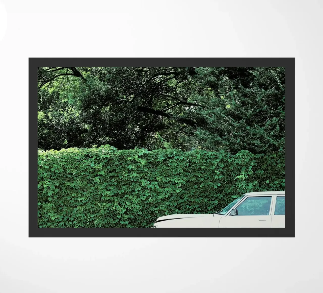 Glam Drop zerbino da Ballack Art House