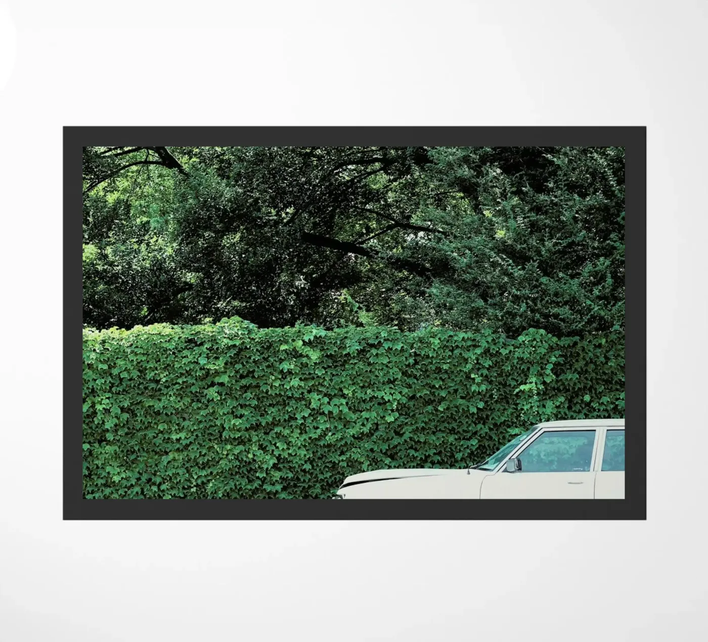 Glam Drop zerbino da Ballack Art House