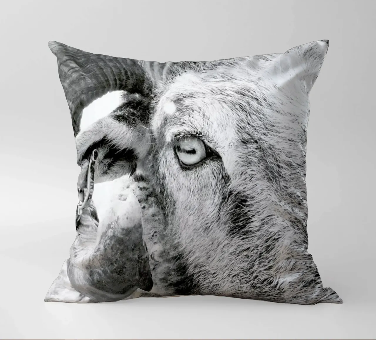 R.A.M. II cuscino da Victoria Frost