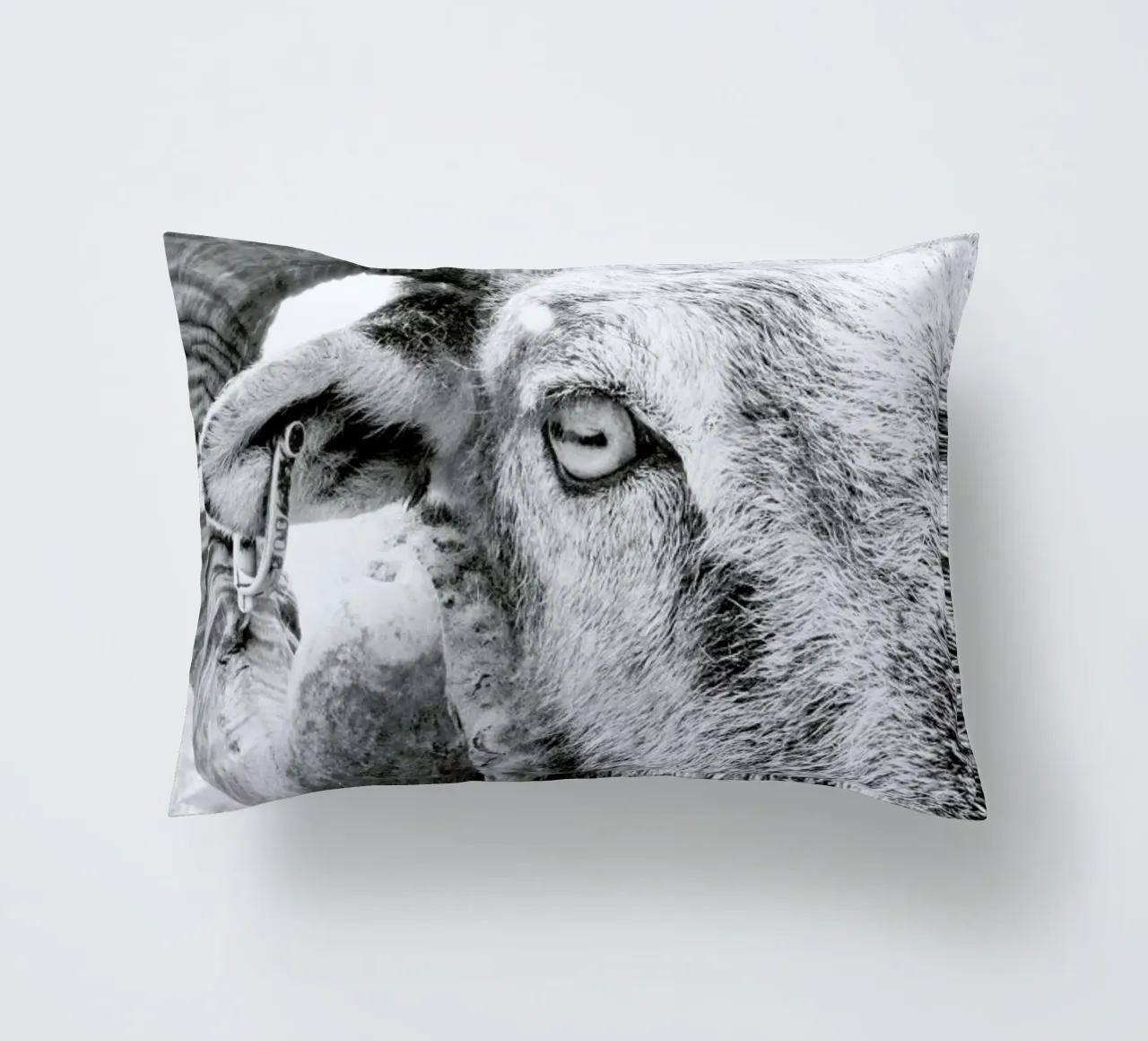 R.A.M. II cuscino da Victoria Frost