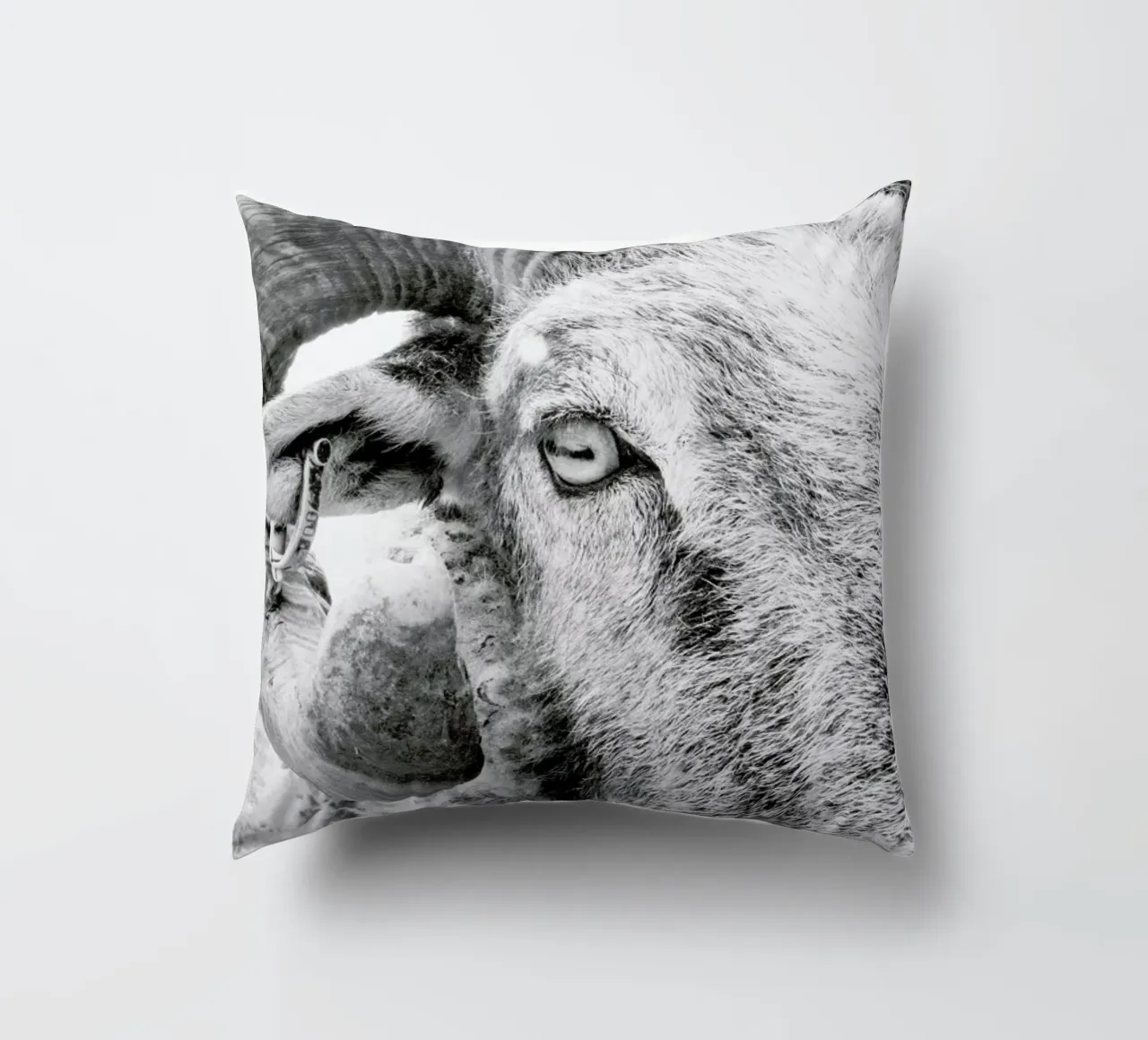 R.A.M. II cuscino da Victoria Frost