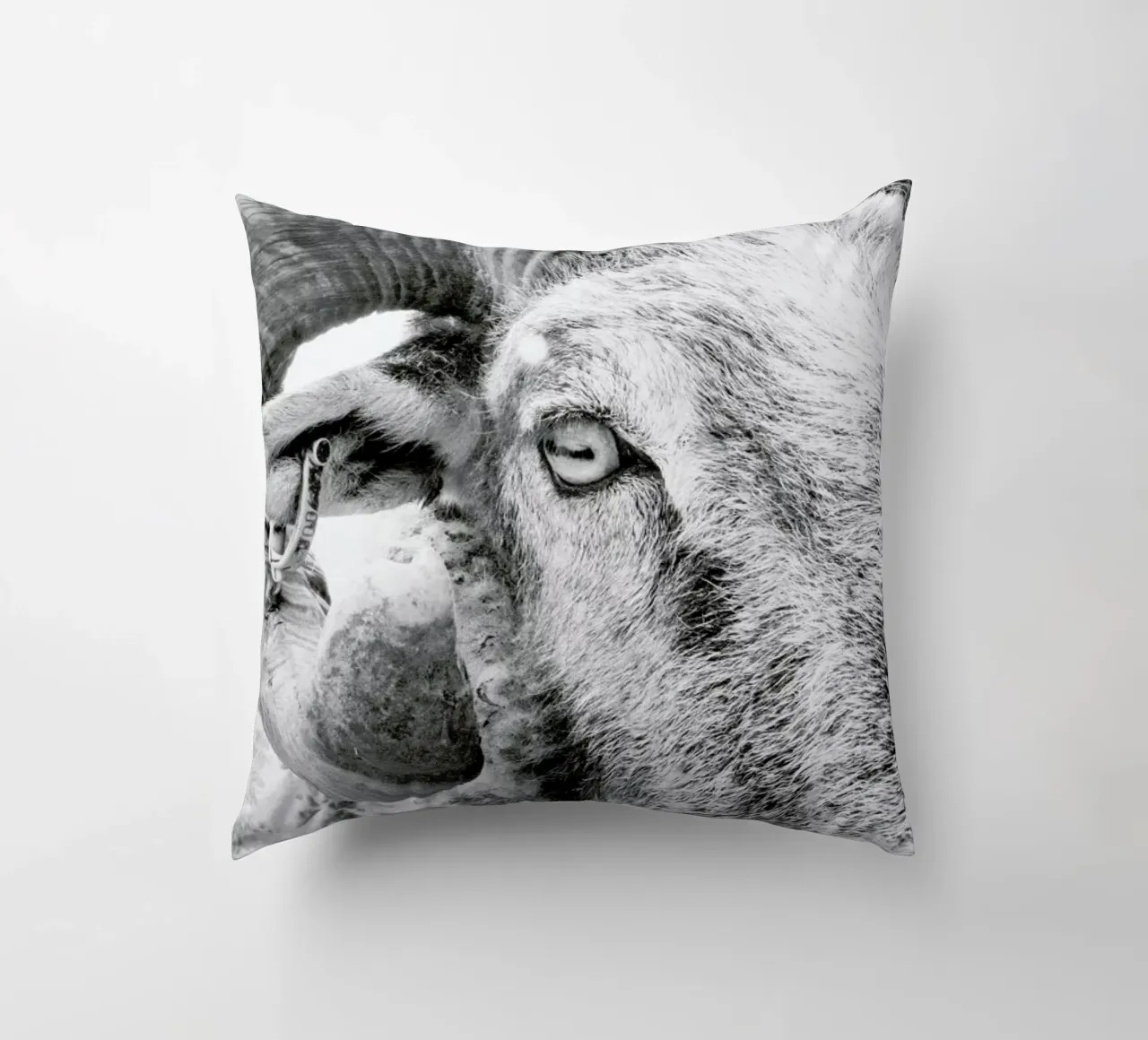 R.A.M. II cuscino da Victoria Frost