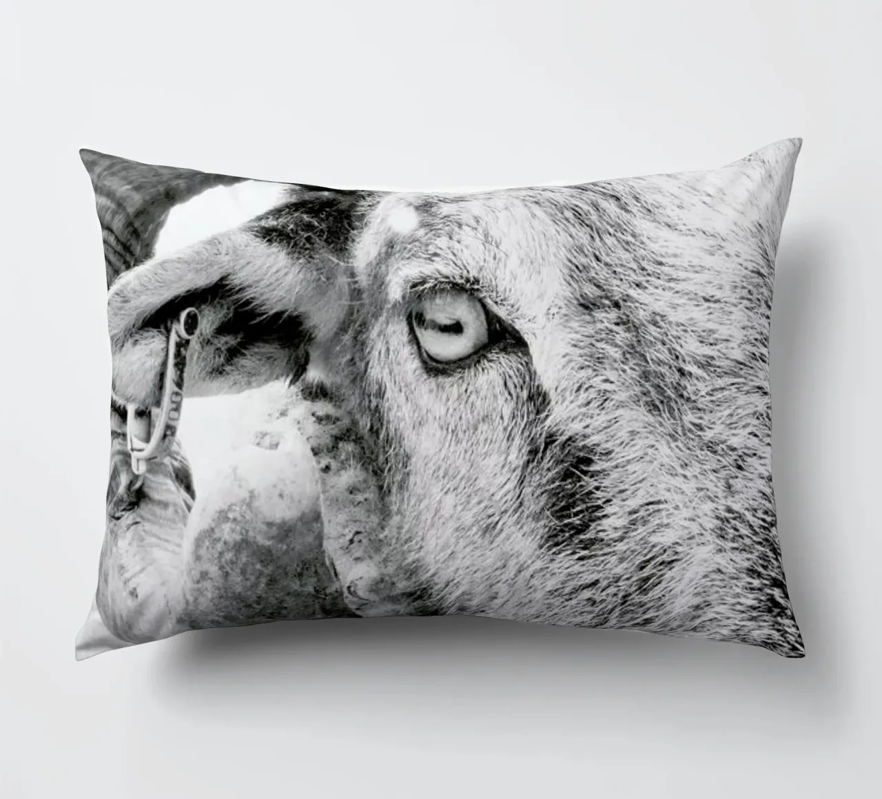 R.A.M. II cuscino da Victoria Frost