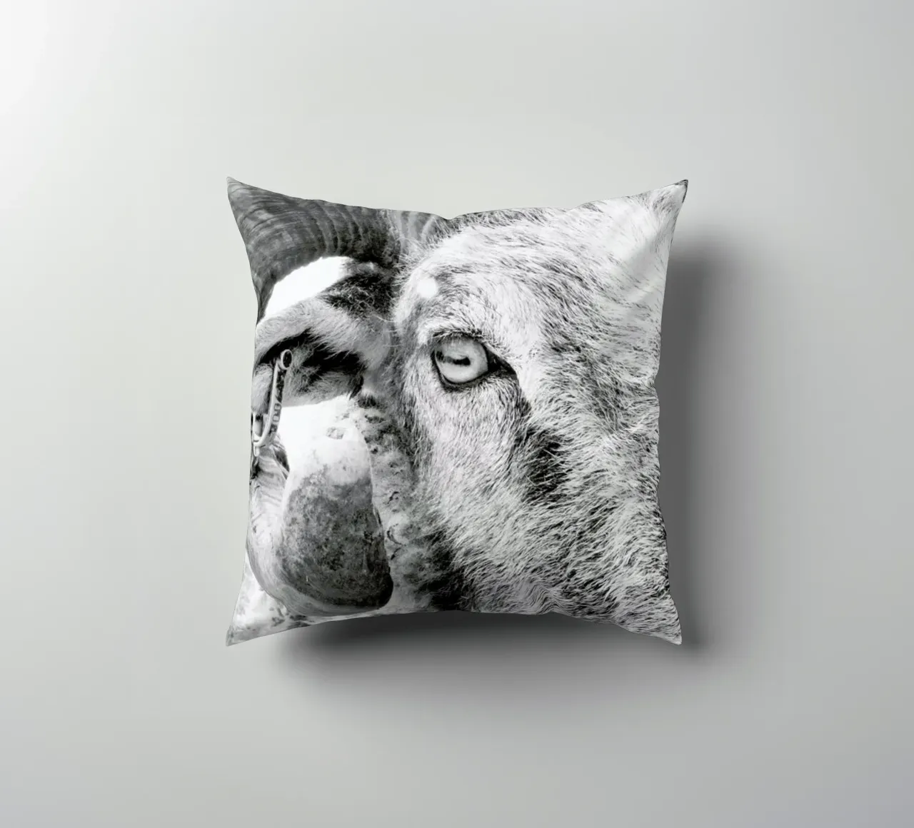 R.A.M. II cuscino da Victoria Frost