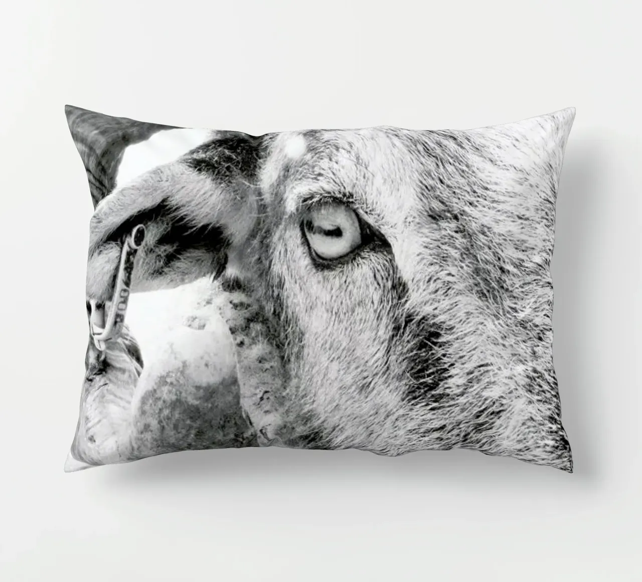 R.A.M. II cuscino da Victoria Frost