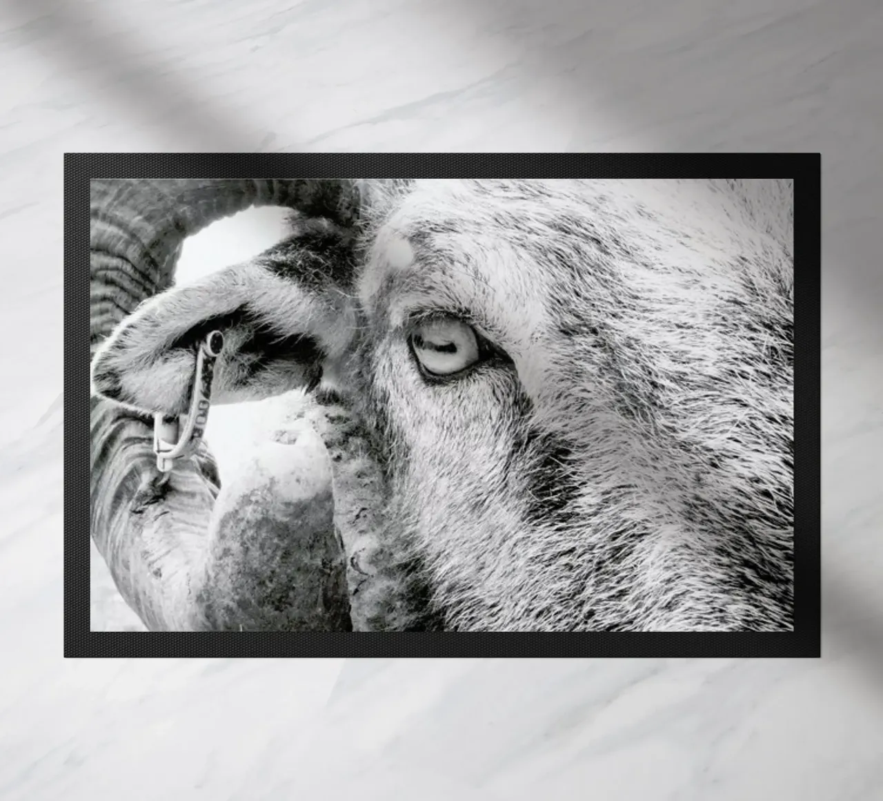 R.A.M. II zerbino da Victoria Frost