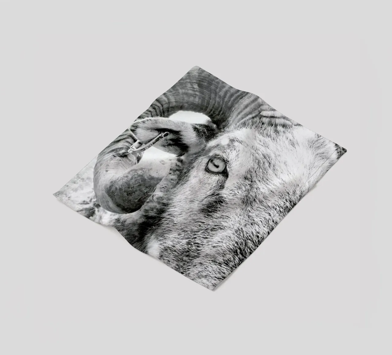 R.A.M. II coperta in pile da Victoria Frost