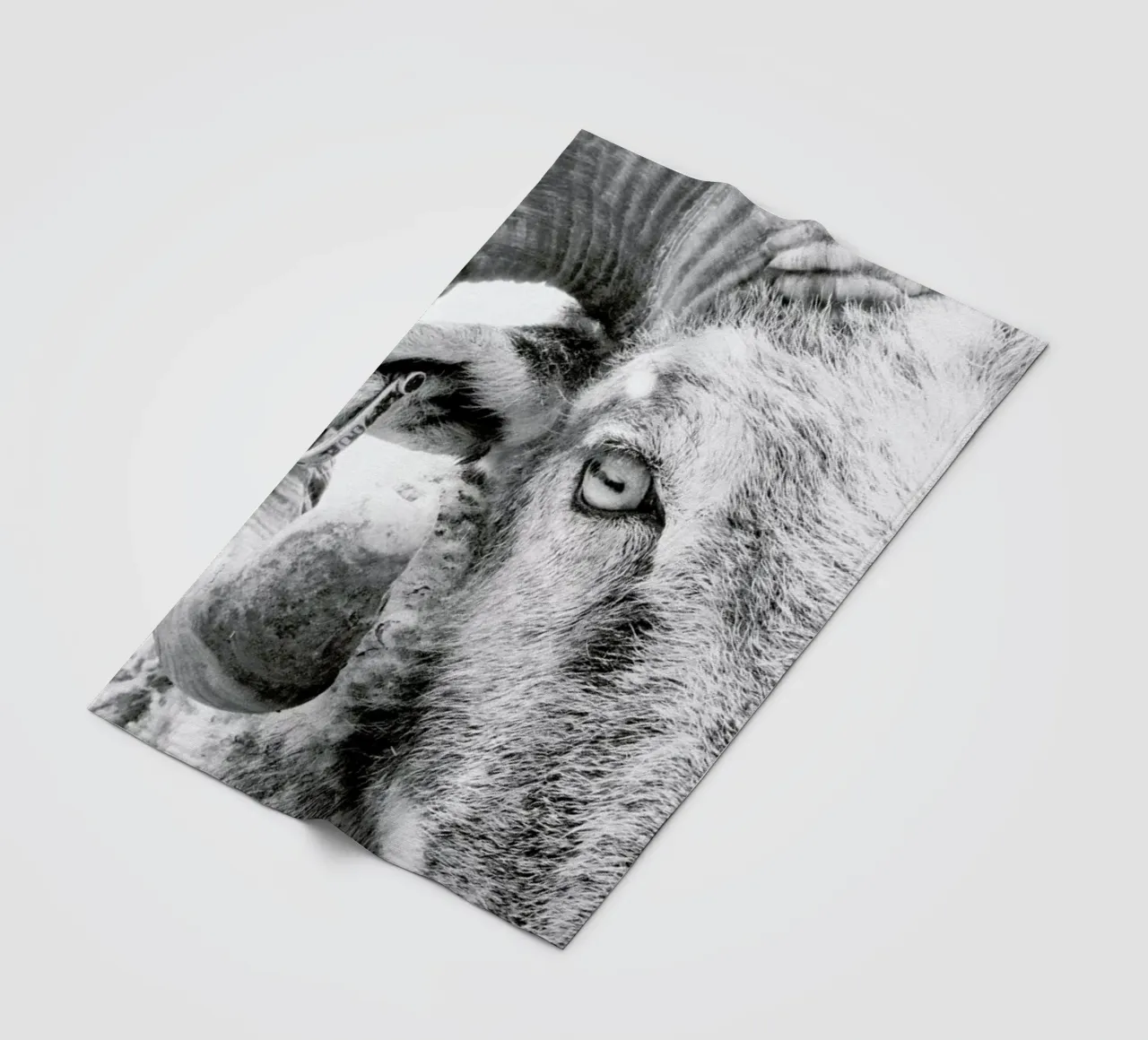 R.A.M. II coperta in pile da Victoria Frost