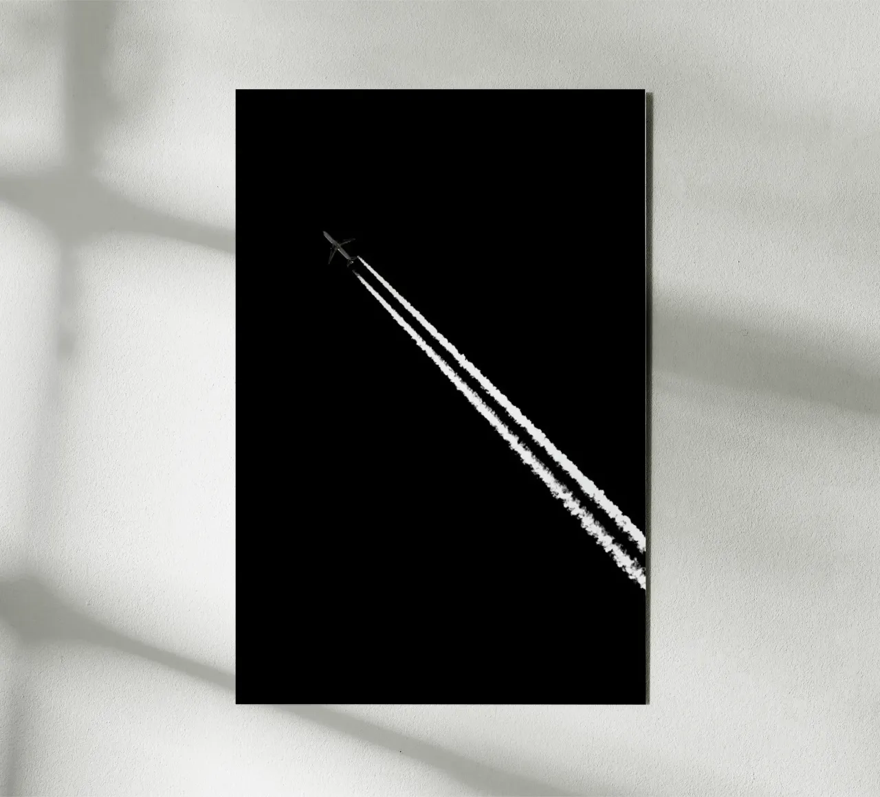 Black and White alu-dibond by Tal Paz-Fridman