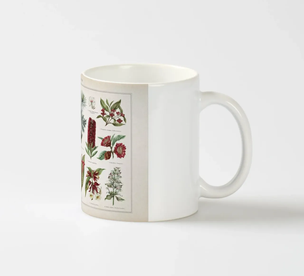 Vintage Meyers 2 Schaugebilde tazza in ceramica da Vintage Print Collection