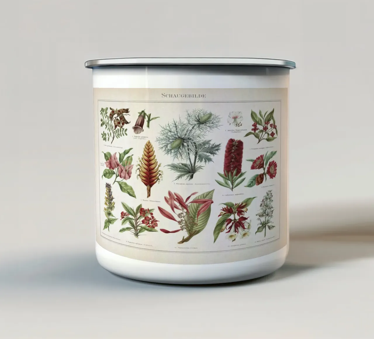 Vintage Meyers 2 Schaugebilde tazza in smalto da Vintage Print Collection