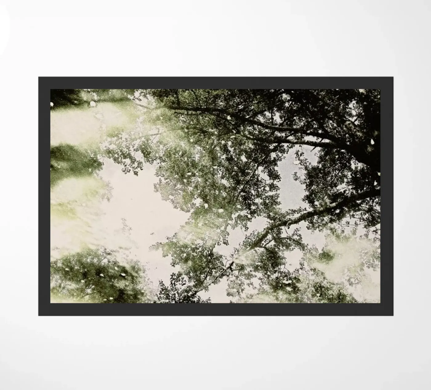 Tiergarten 2 zerbino da Angelo Cerantola