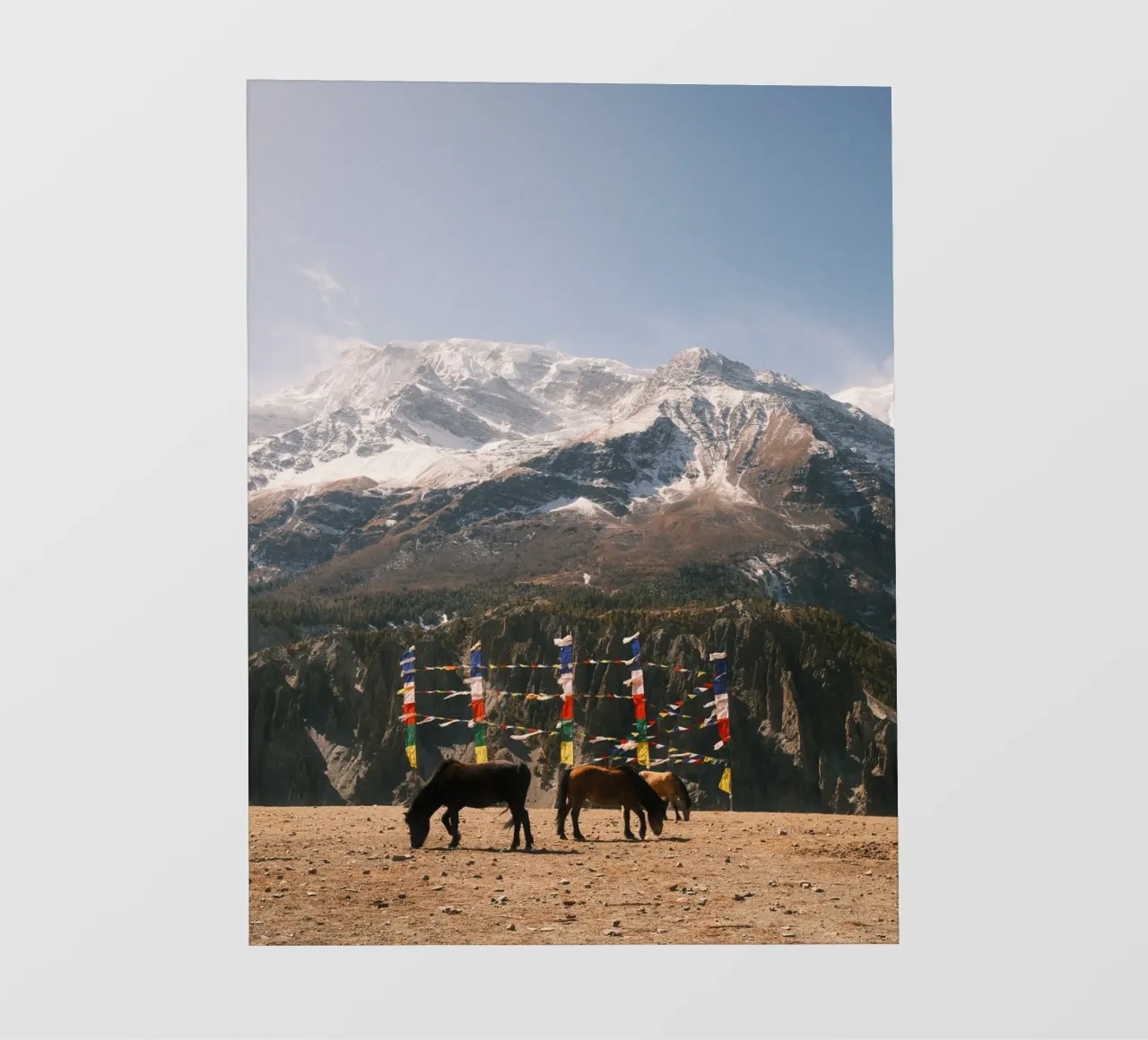 Horses and the Himalayas telo in pvc da FujiPrints
