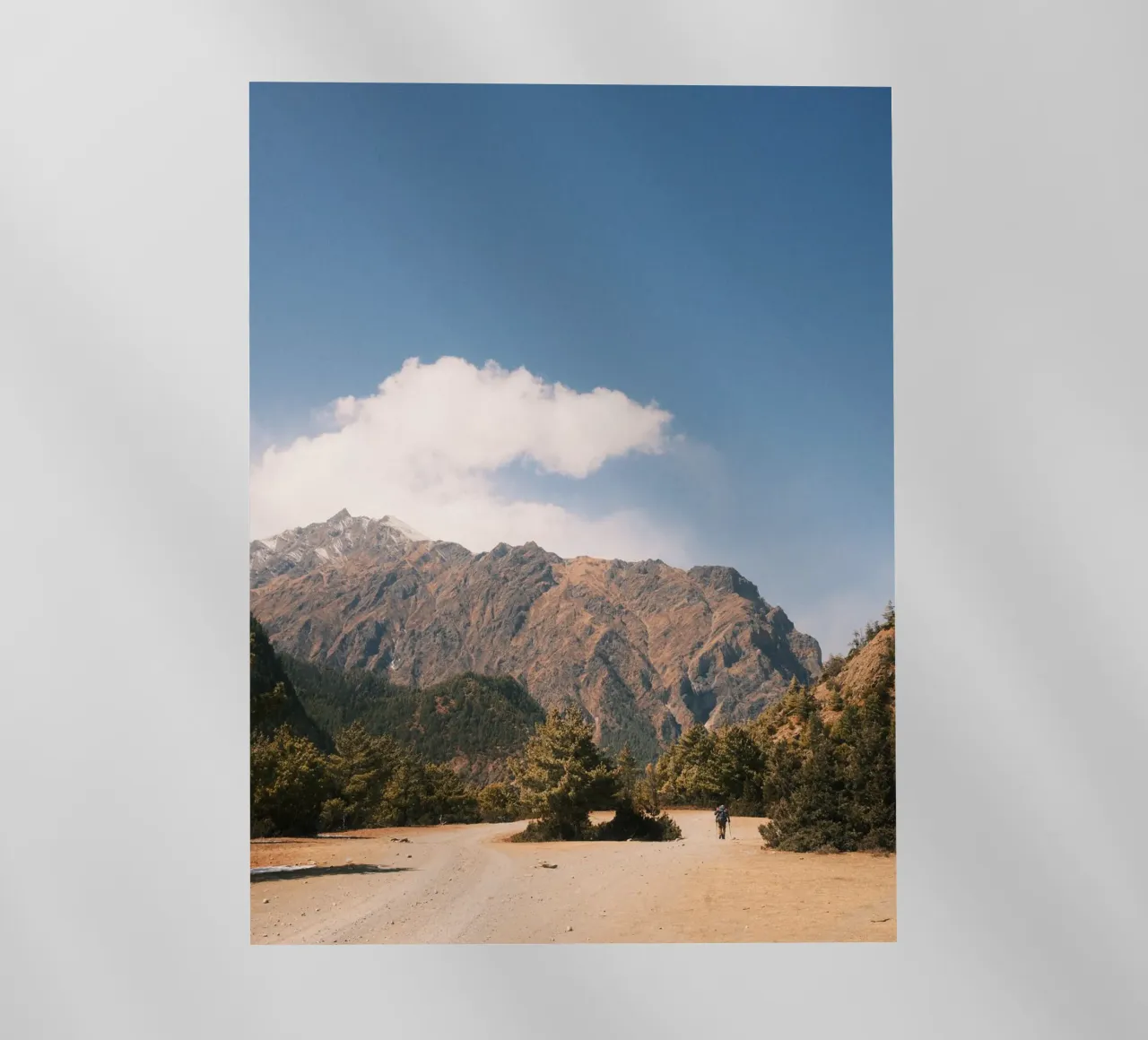 Path to the Peaks pellicola backlit da FujiPrints