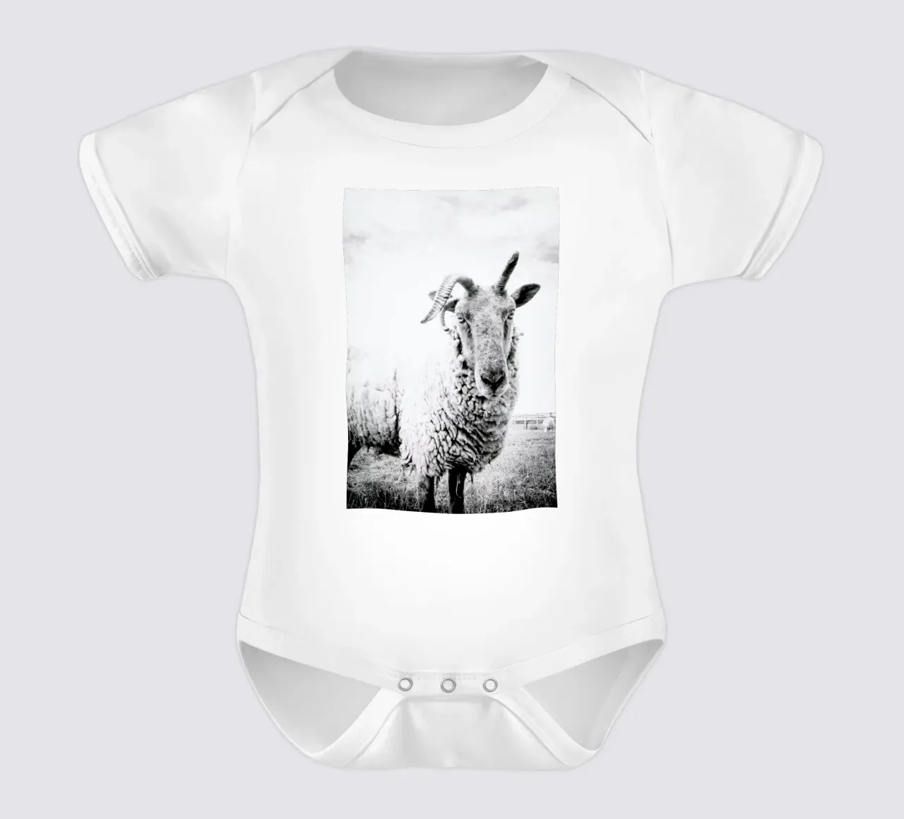 Sheep II body neonato maniche corte da Victoria Frost